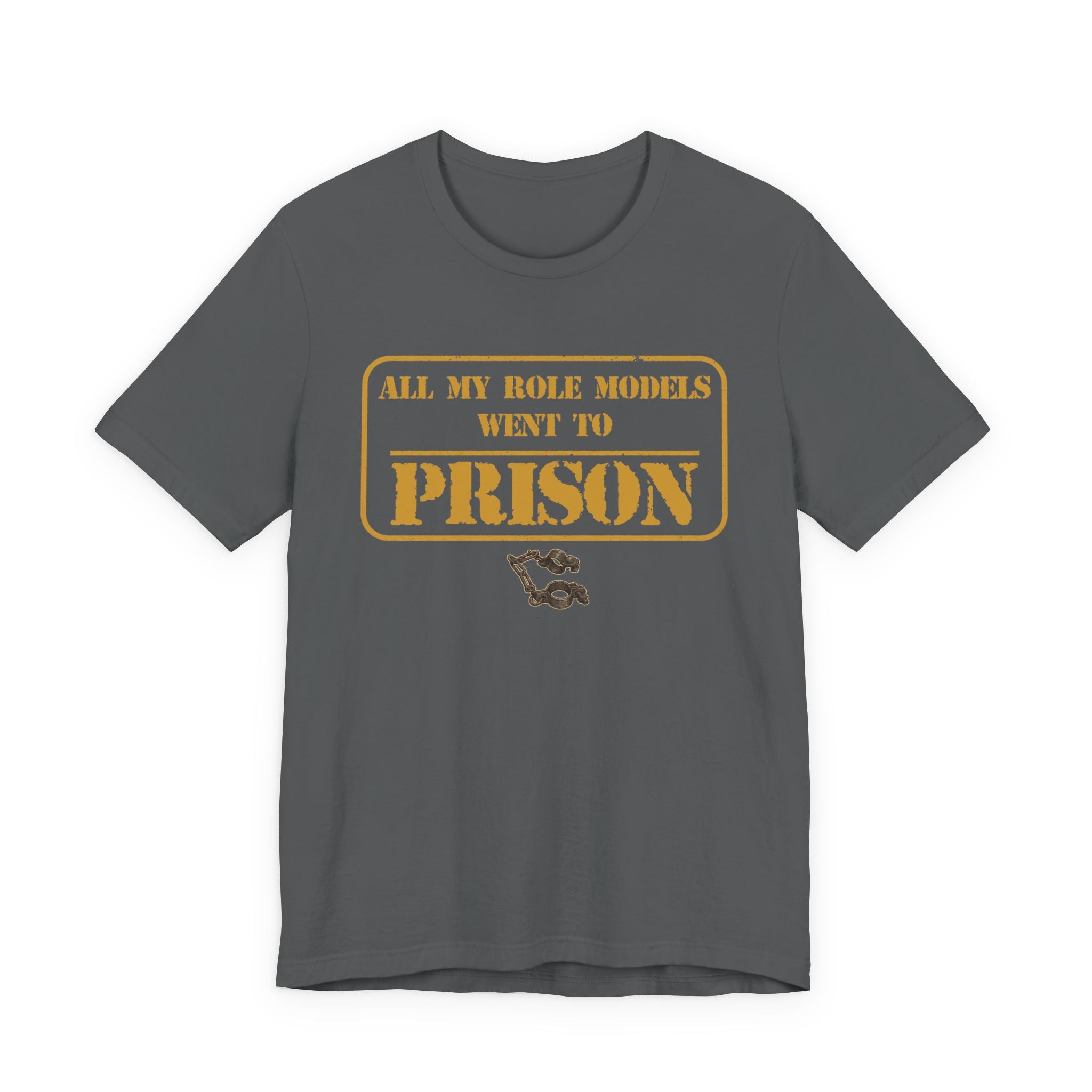 All My Role Models Went to Prison 2.0 T-Shirt