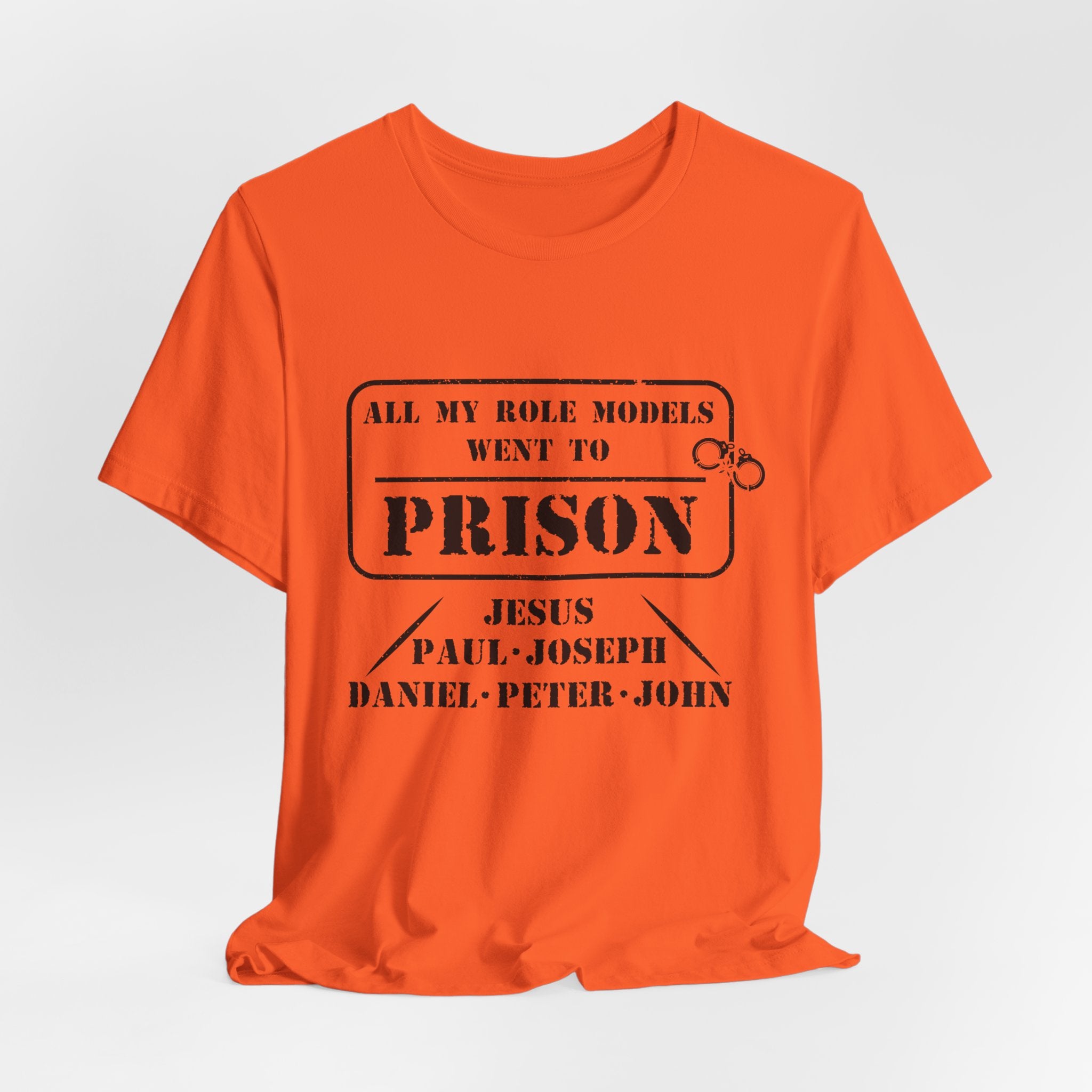 All My Role Models Went to Prison T-Shirt
