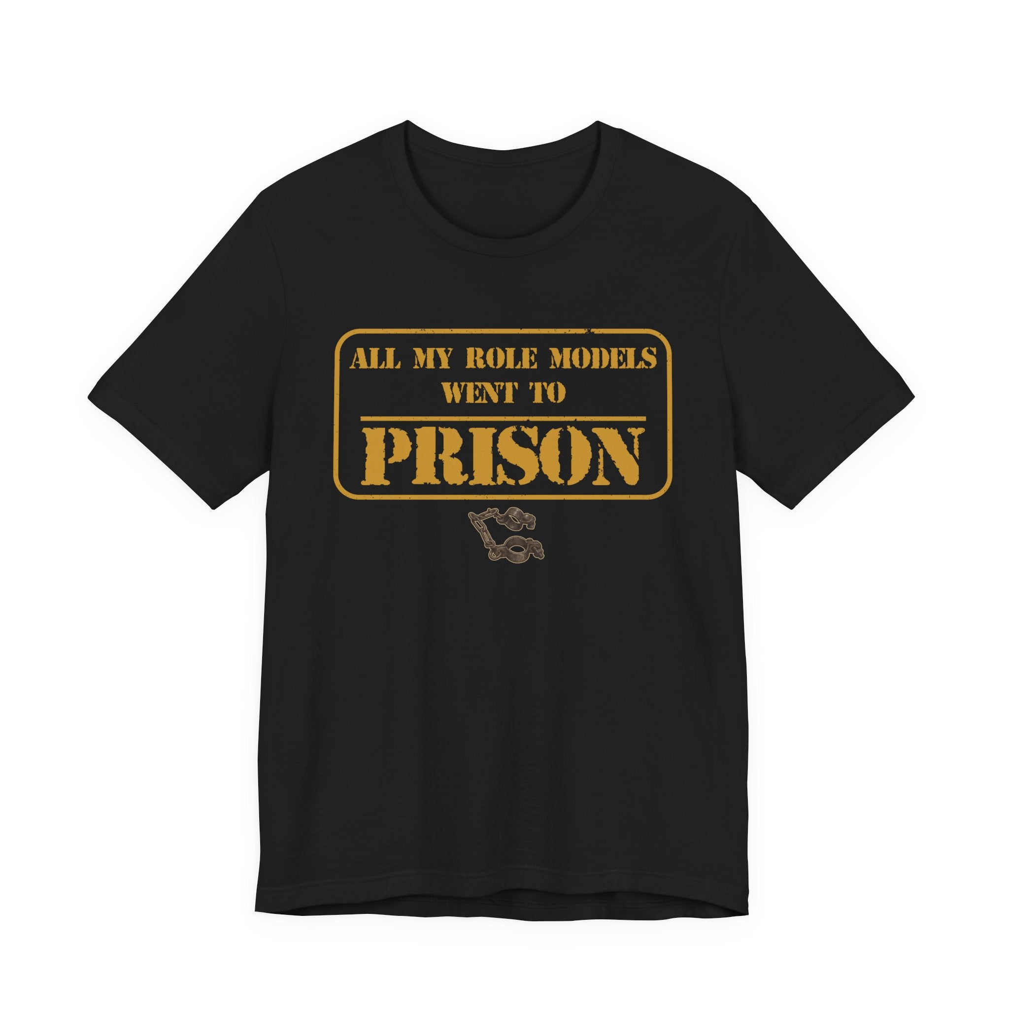 All My Role Models Went to Prison 2.0 T-Shirt