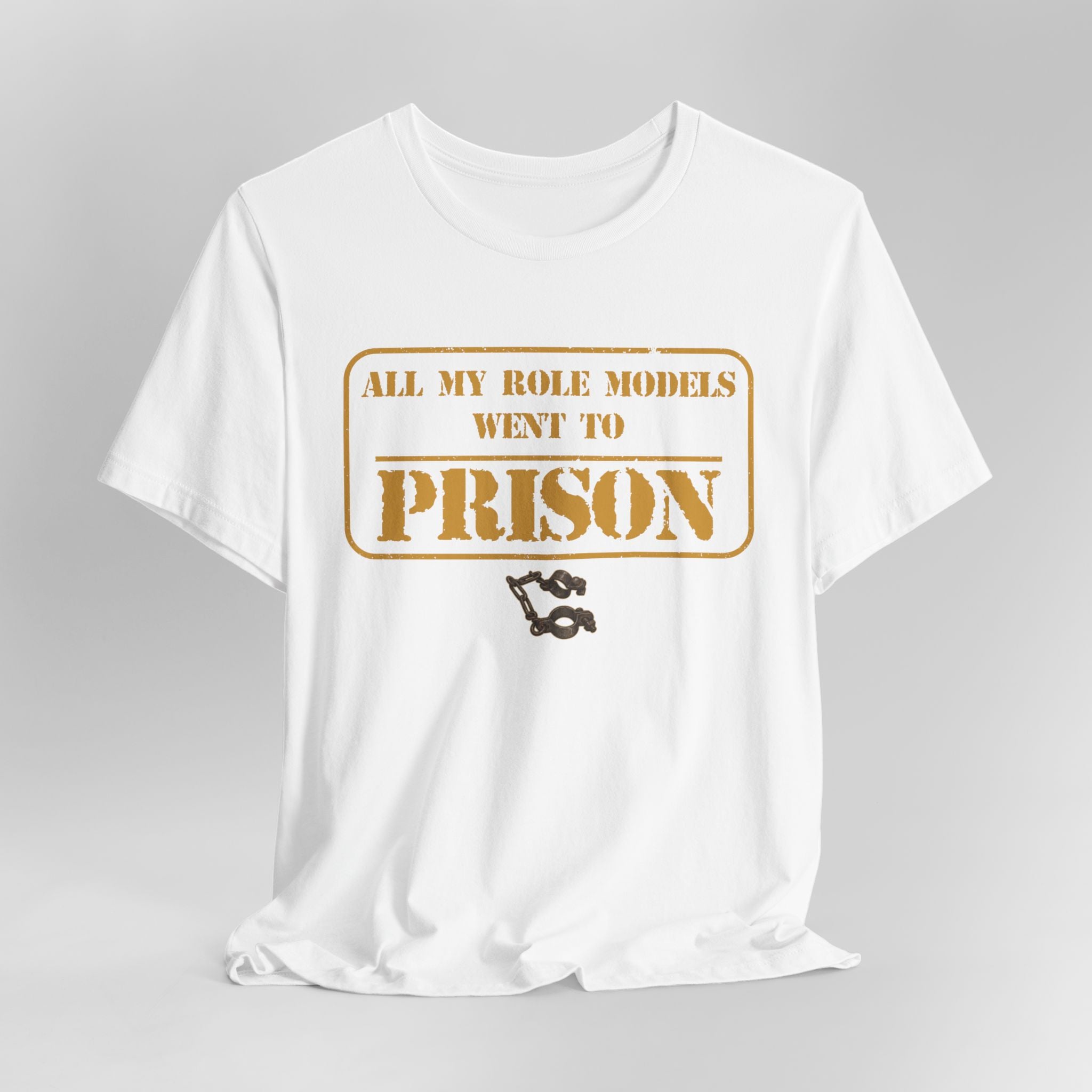 All My Role Models Went to Prison 2.0 T-Shirt